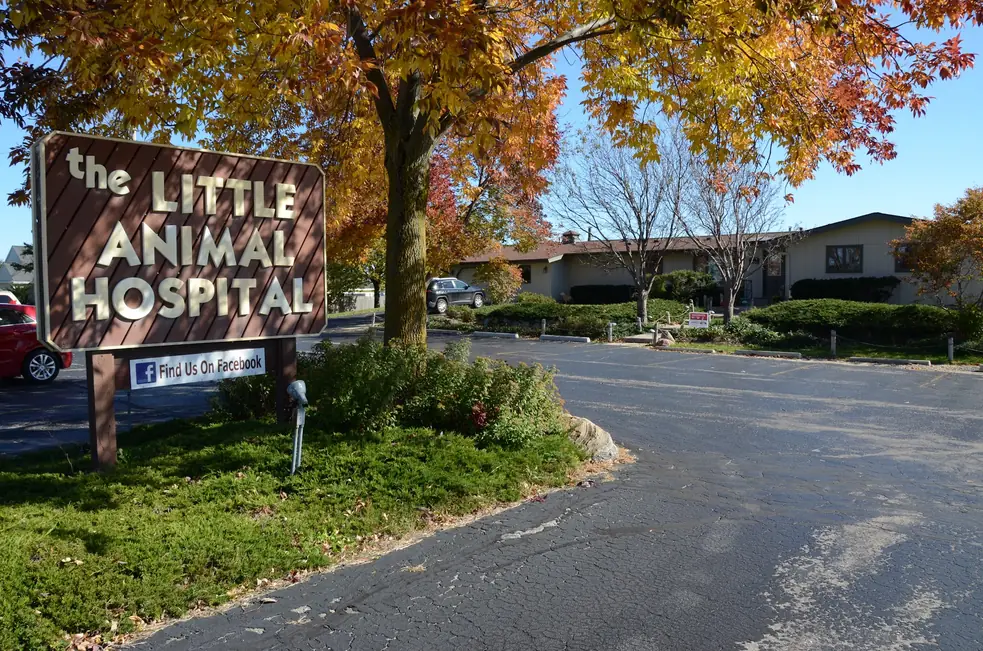 Brown wooden sign reading the Little Animal Hospital under an autumn maple, with the clinic building and parking lot behind