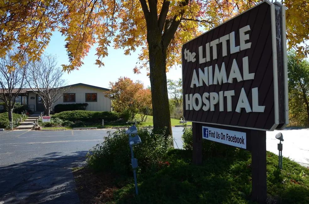 The Little Animal Hospital roadside sign on Highway 32, brown board with cream letters, with the clinic building behind it