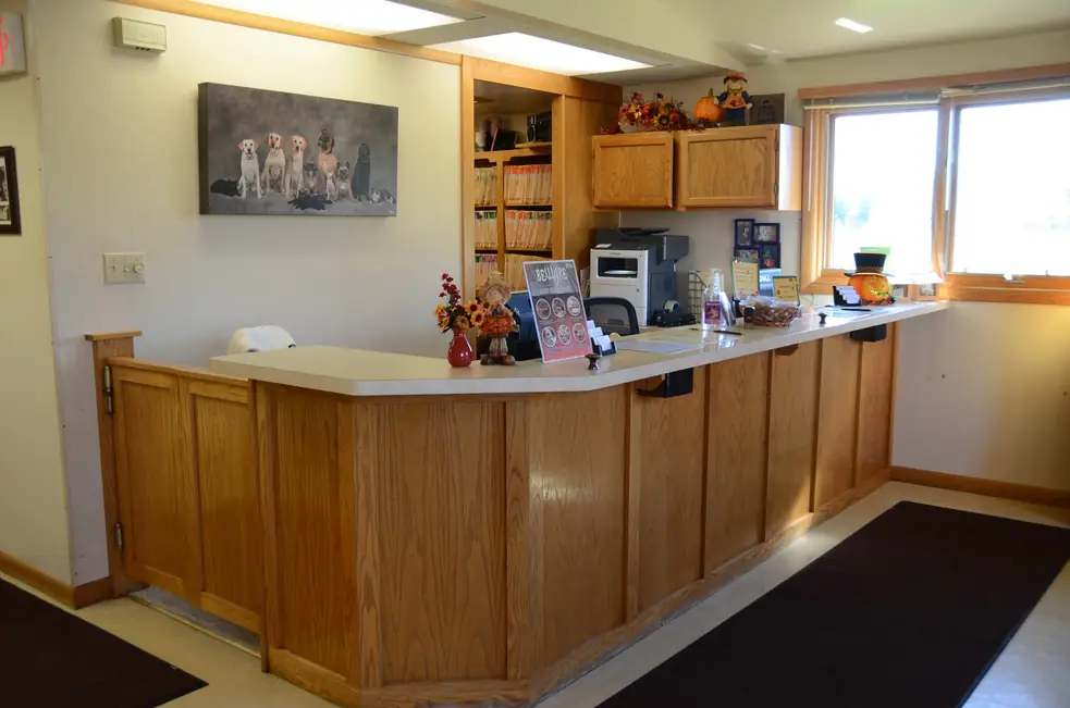 Oak reception counter with patient record shelves behind it and a canvas portrait of dogs and cats on the wall